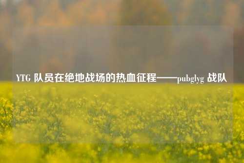 YTG 队员在绝地战场的热血征程——pubglyg 战队