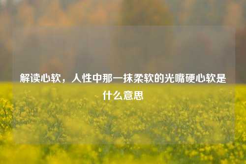 解读心软，人性中那一抹柔软的光嘴硬心软是什么意思