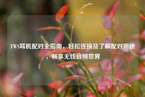 TWS耳机配对全指南,轻松连接及了解配对用途,畅享无线音频世界