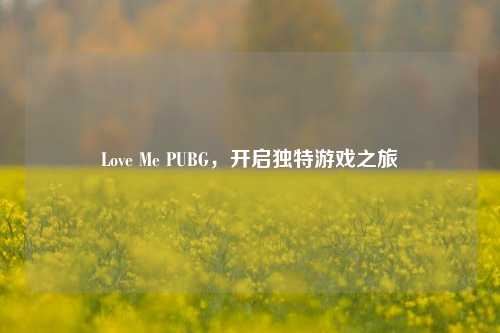 Love Me PUBG,开启独特游戏之旅