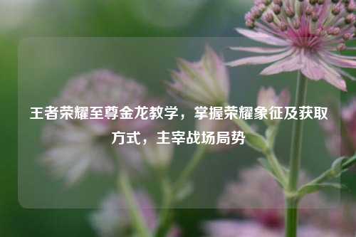 王者荣耀至尊金龙教学，掌握荣耀象征及获取方式，主宰战场局势
