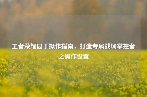 王者荣耀园丁操作指南，打造专属战场掌控者之操作设置