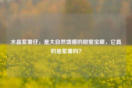 水晶紫薯仔，是大自然馈赠的甜蜜宝藏，它真的是紫薯吗？