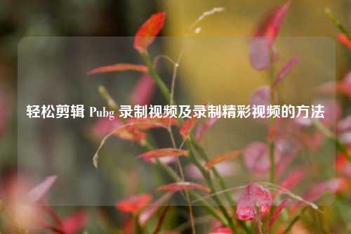 轻松剪辑 Pubg 录制视频及录制精彩视频的方法
