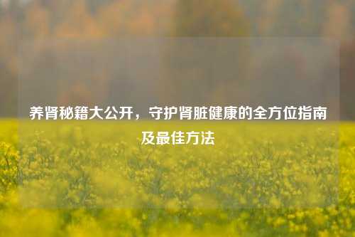 养肾秘籍大公开,守护肾脏健康的全方位指南及最佳方法
