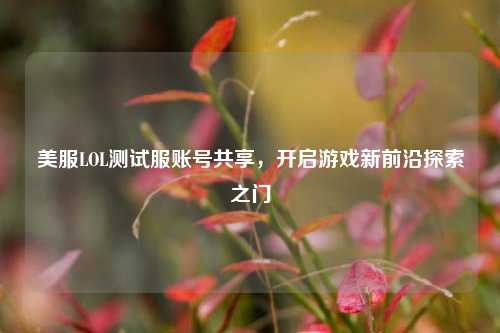 美服LOL测试服账号共享，开启游戏新前沿探索之门
