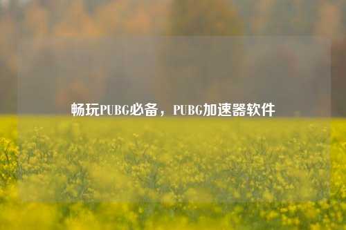 畅玩PUBG必备，PUBG加速器软件