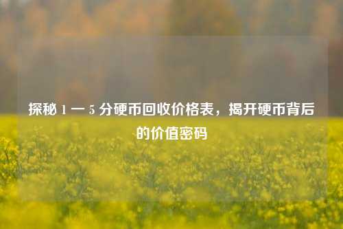 探秘 1 一 5 分硬币回收价格表，揭开硬币背后的价值密码