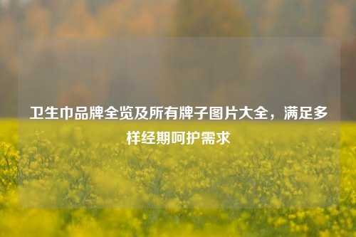 卫生巾品牌全览及所有牌子图片大全，满足多样经期呵护需求