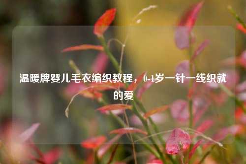 温暖牌婴儿毛衣编织教程，0-1岁一针一线织就的爱