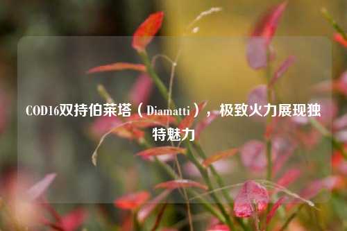 COD16双持伯莱塔（Diamatti），极致火力展现独特魅力