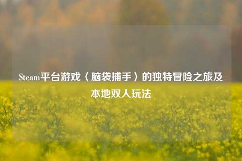 Steam平台游戏〈脑袋捕手〉的独特冒险之旅及本地双人玩法