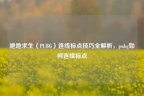 绝地求生(PUBG)连线标点技巧全解析,pubg如何连续标点
