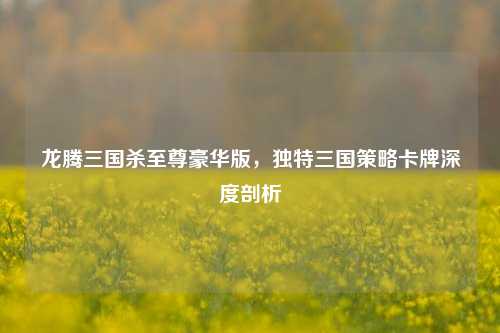 龙腾三国杀至尊豪华版，独特三国策略卡牌深度剖析