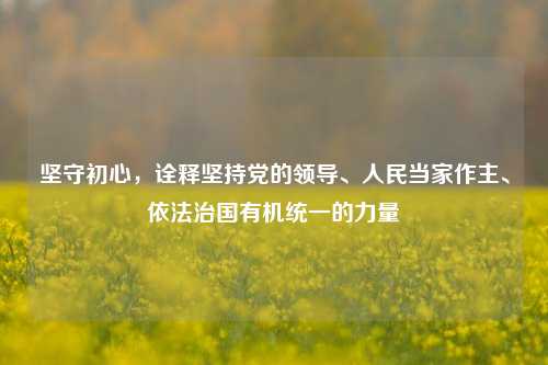坚守初心,诠释坚持党的领导、人民当家作主、依法治国有机统一的力量