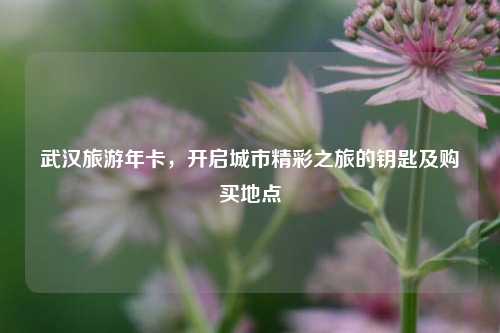 武汉旅游年卡，开启城市精彩之旅的钥匙及购买地点