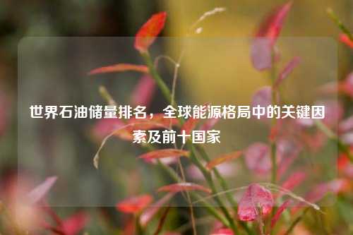 世界石油储量排名,全球能源格局中的关键因素及前十国家
