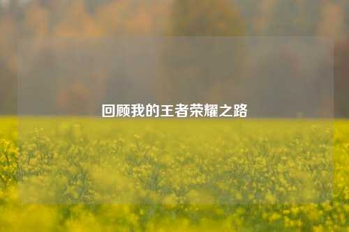 回顾我的王者荣耀之路
