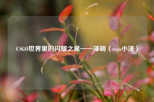 CSGO世界里的闪耀之星——泽明(csgo小泽)