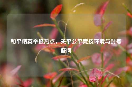和平精英举报热点，关乎公平竞技环境与封号疑问