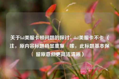关于lol美服卡顿问题的探讨，lol美服卡不卡 （注，原内容标题稍显重复啰嗦，此标题基本保留原意但更简洁清晰）