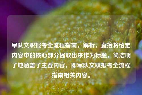 军队文职报考全流程指南，解析，直接将给定内容中的核心部分提取出来作为标题，简洁明了地涵盖了主要内容，即军队文职报考全流程指南相关内容。
