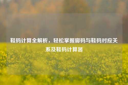 鞋码计算全解析，轻松掌握脚码与鞋码对应关系及鞋码计算器