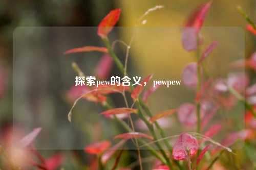 探索pew的含义,pewpew