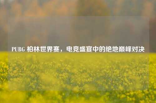 PUBG 柏林世界赛,电竞盛宴中的绝地巅峰对决