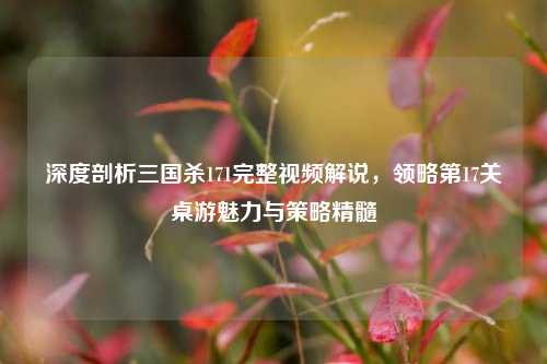 深度剖析三国杀171完整视频解说,领略第17关桌游魅力与策略精髓