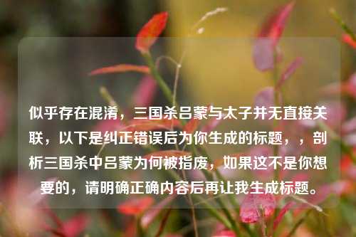 似乎存在混淆，三国杀吕蒙与太子并无直接关联，以下是纠正错误后为你生成的标题，，剖析三国杀中吕蒙为何被指废，如果这不是你想要的，请明确正确内容后再让我生成标题。