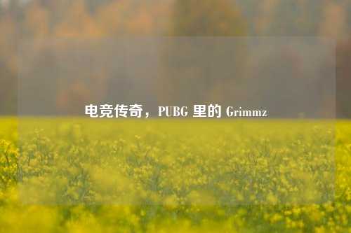 电竞传奇，PUBG 里的 Grimmz