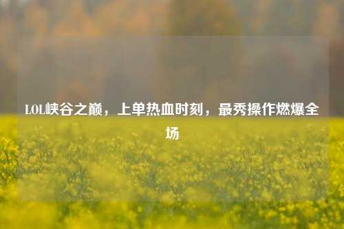 LOL峡谷之巅，上单热血时刻，最秀操作燃爆全场