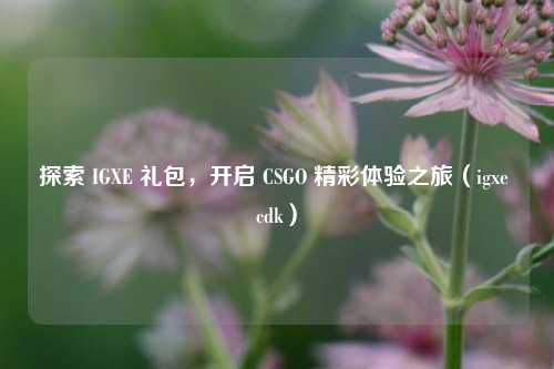 探索 IGXE 礼包,开启 CSGO 精彩体验之旅(igxe cdk)