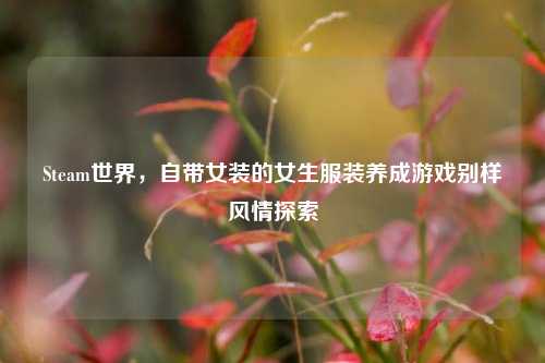 Steam世界，自带女装的女生服装养成游戏别样风情探索
