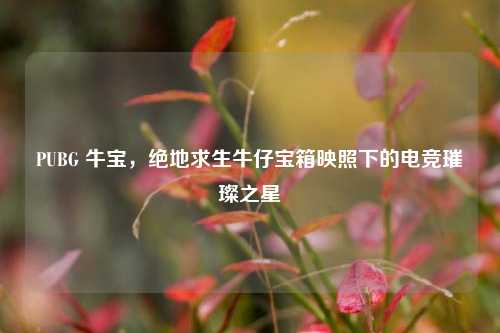 PUBG 牛宝，绝地求生牛仔宝箱映照下的电竞璀璨之星