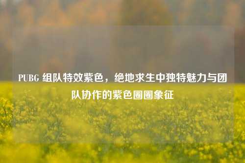 PUBG 组队特效紫色，绝地求生中独特魅力与团队协作的紫色圈圈象征