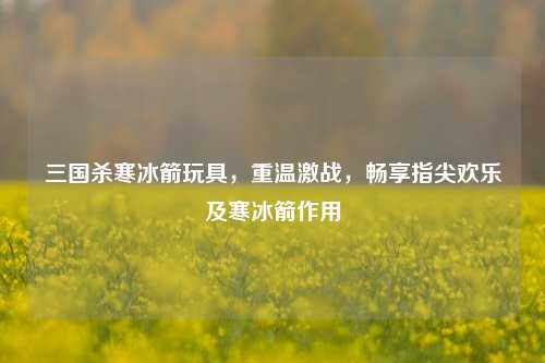 三国杀寒冰箭玩具，重温激战，畅享指尖欢乐及寒冰箭作用