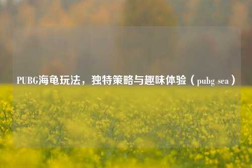 PUBG海龟玩法，独特策略与趣味体验（pubg sea）