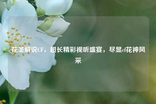 花圣解说CF，超长精彩视听盛宴，尽显cf花神风采
