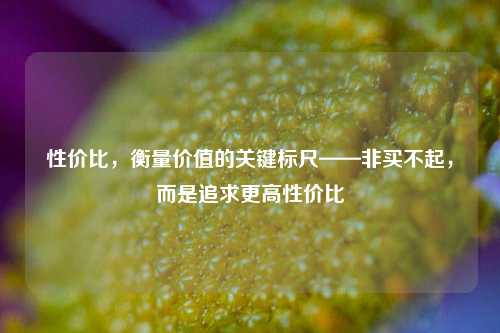 性价比，衡量价值的关键标尺——非买不起，而是追求更高性价比