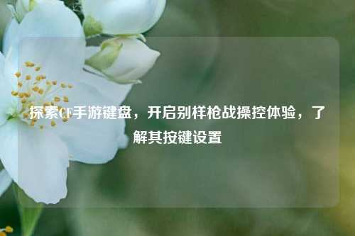 探索CF手游键盘,开启别样枪战操控体验,了解其按键设置