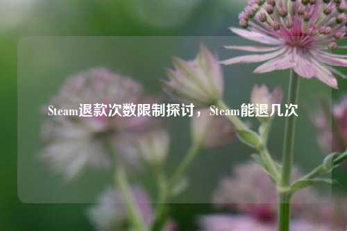 Steam退款次数限制探讨,Steam能退几次