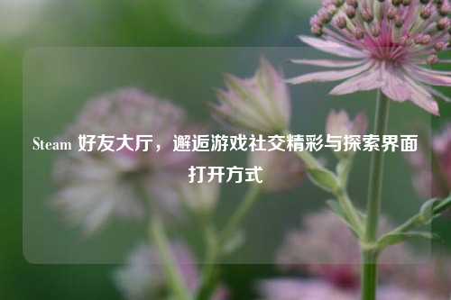 Steam 好友大厅，邂逅游戏社交精彩与探索界面打开方式