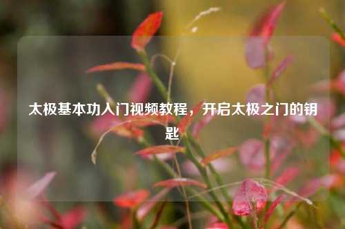 太极基本功入门视频教程，开启太极之门的钥匙