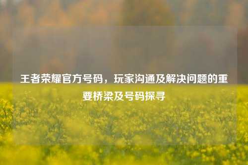 王者荣耀官方号码，玩家沟通及解决问题的重要桥梁及号码探寻