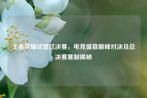 王者荣耀试管总决赛，电竞盛宴巅峰对决及总决赛赛制揭秘