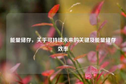 能量储存,关乎可持续未来的关键及能量储存效率