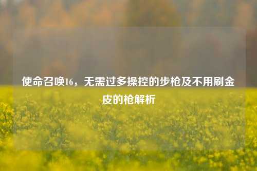 使命召唤16，无需过多操控的步枪及不用刷金皮的枪解析