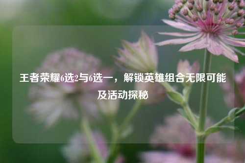王者荣耀6选2与6选一，解锁英雄组合无限可能及活动探秘